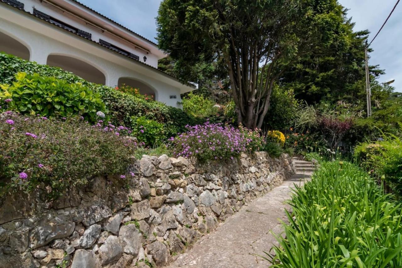 Vivenda Santiago Villa เซซิมบรา ภายนอก รูปภาพ